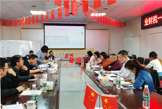 業(yè)財(cái)稅一體化系統(tǒng)實(shí)施進(jìn)展情況匯報(bào).jpg